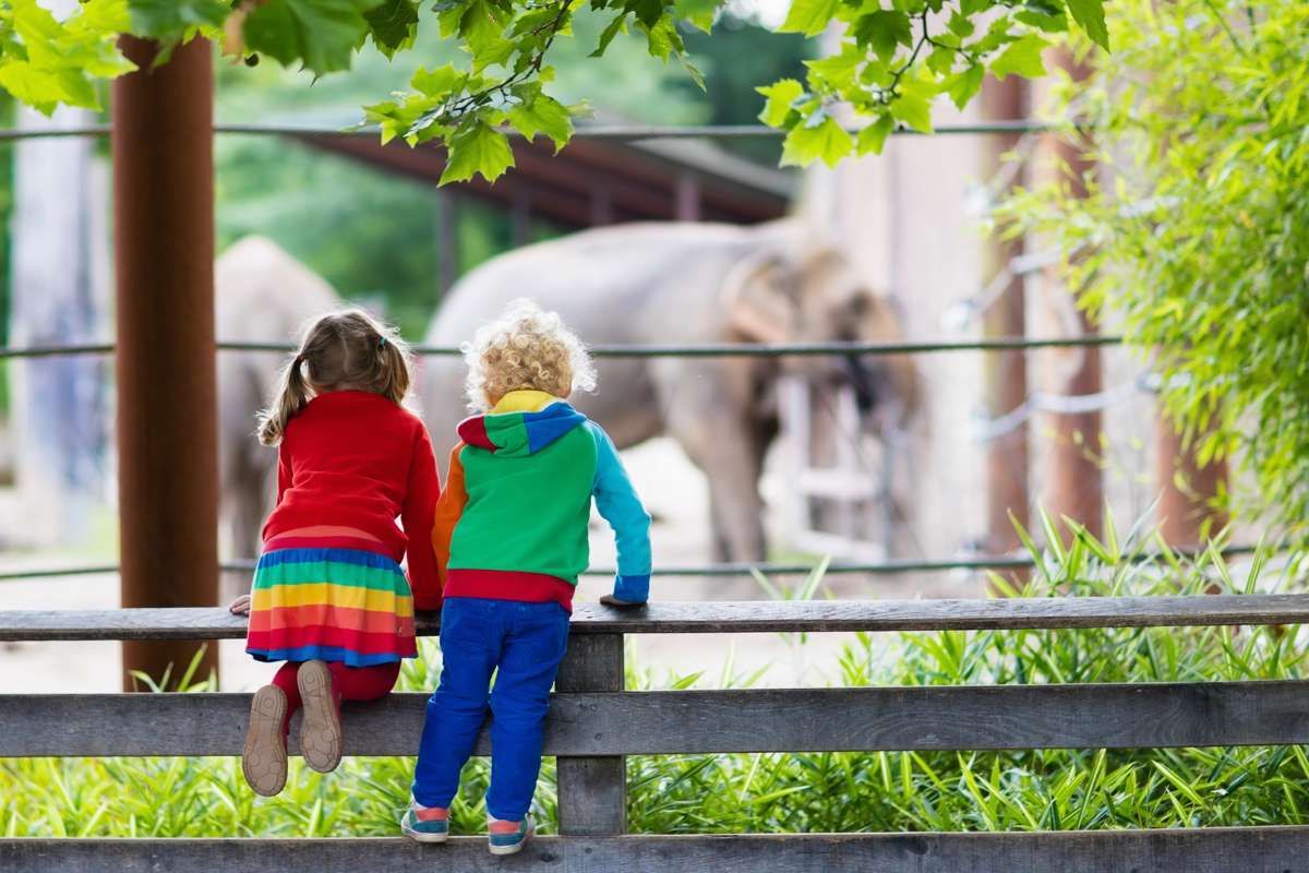 Why you must take your children to see a zoo - Nurturey Blog
