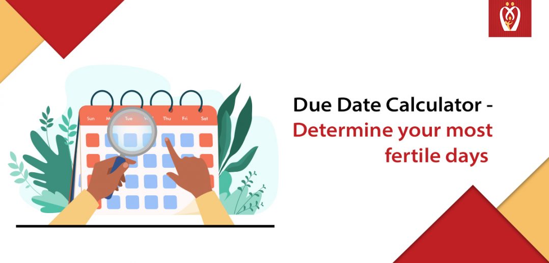 due-date-calculator-determine-your-most-fertile-days