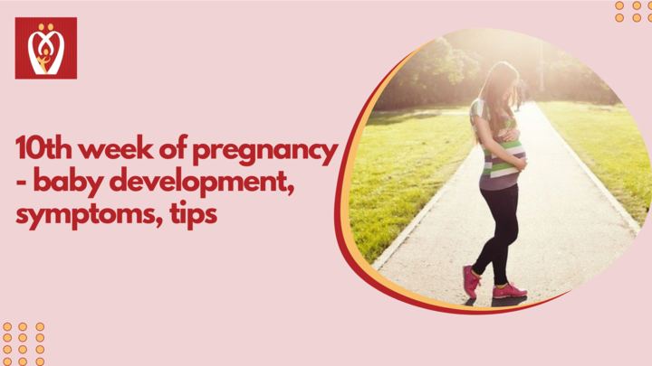 10th-week-of-pregnancy-baby-development-symptoms-tips