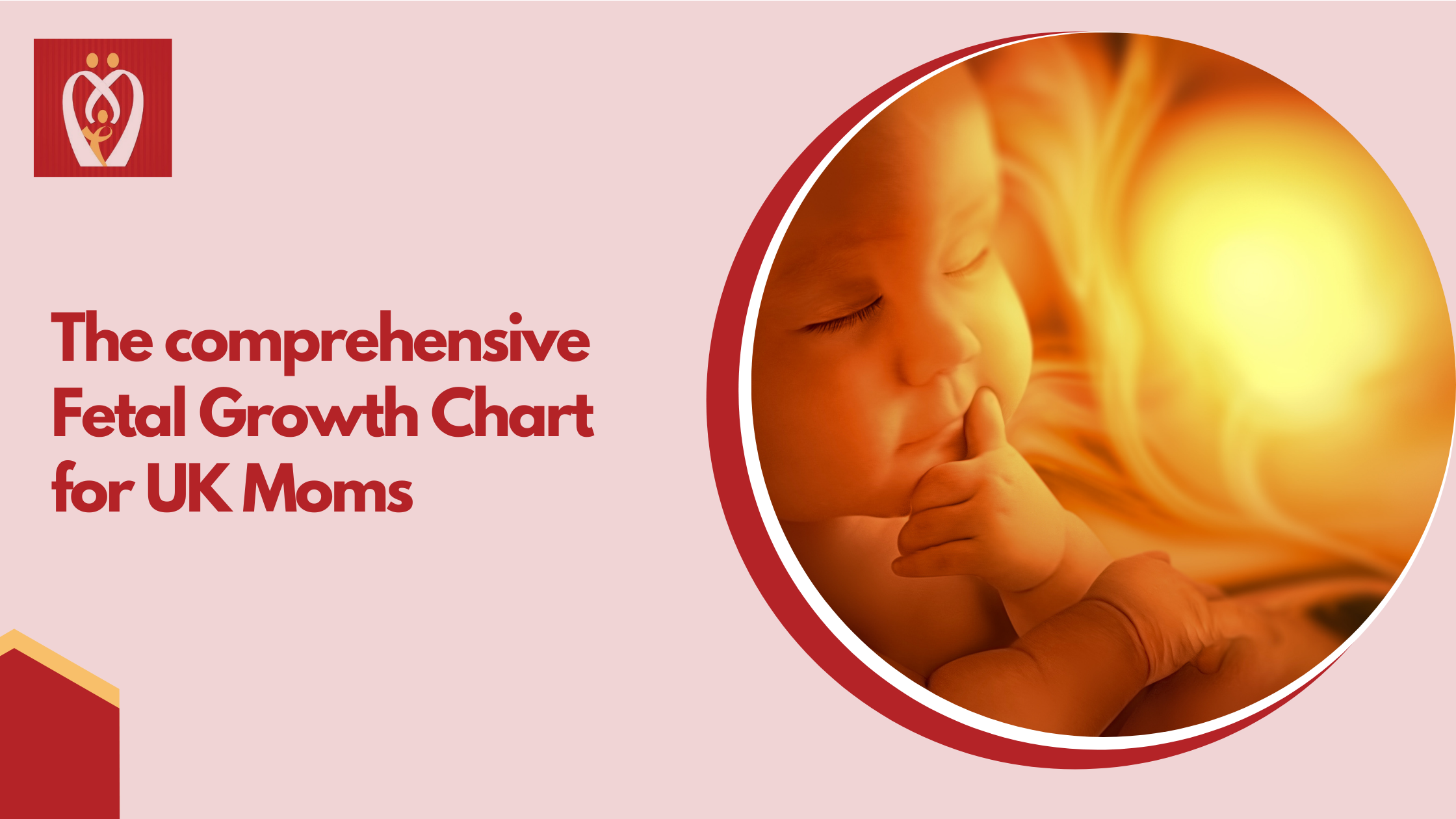 PDF) Fetal thoracic measurements in prenatal diagnosis of Jeune syndrome