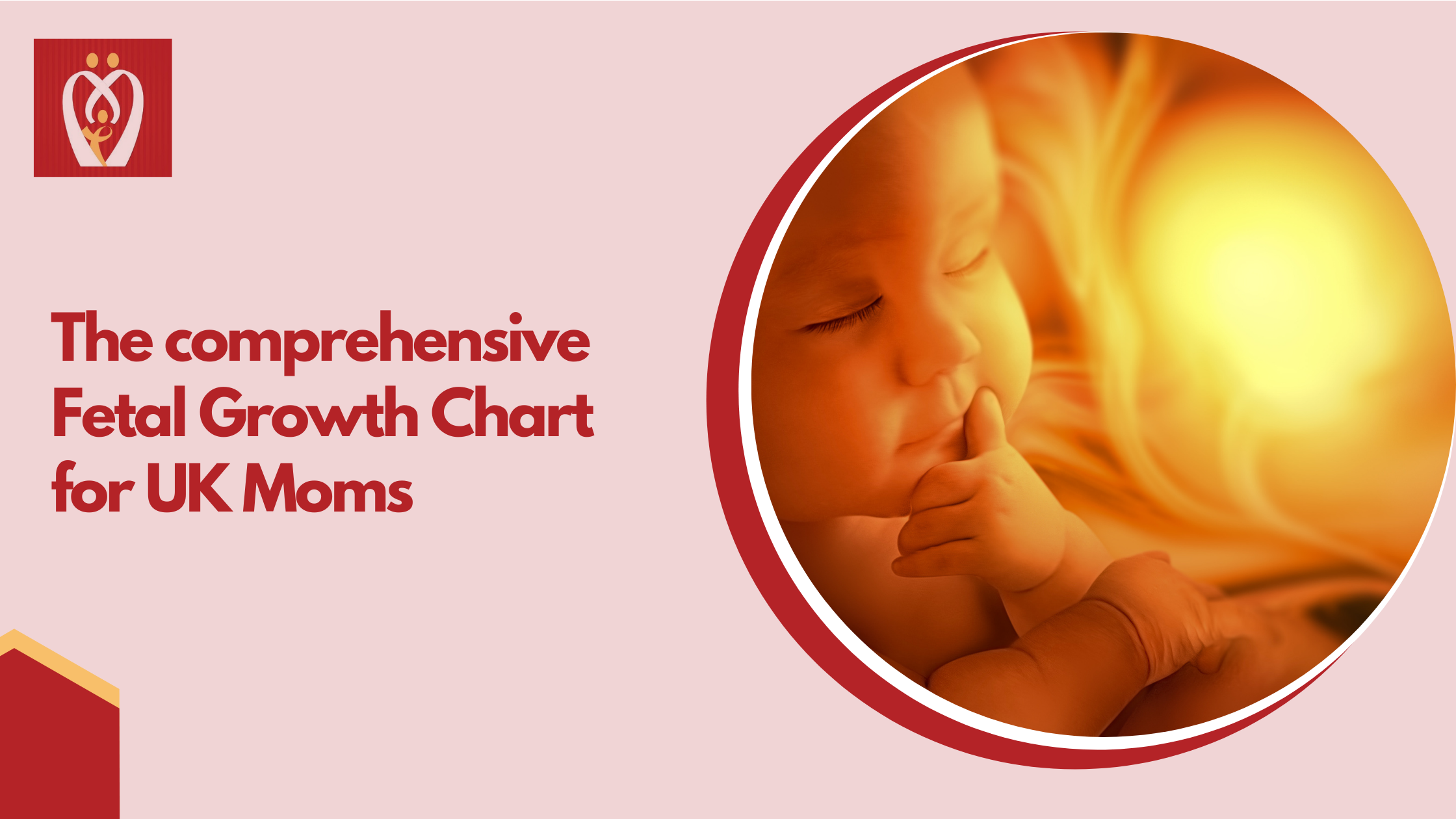 The comprehensive Fetal Growth Chart for UK Moms