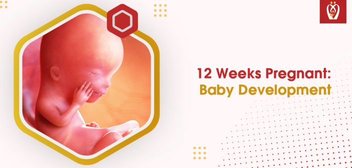 Baby Development, Symptoms & Signs