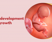 Fetal development and Growth