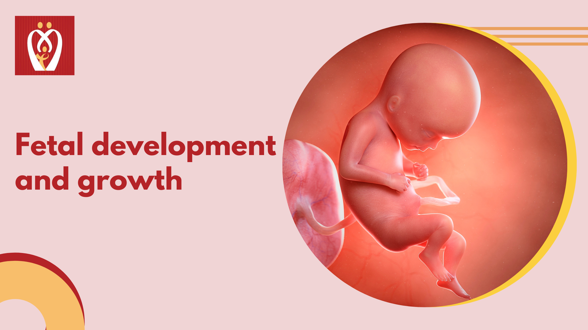 fetal-growth-chart-nurturey-blog