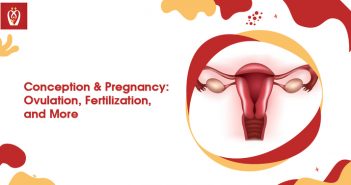conception & pregnancy