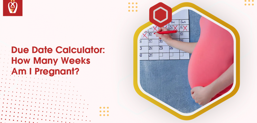 pregnancy week calculator according to due date