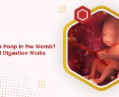 Do Babies Poop in the Womb? How Fetal Digestion Works