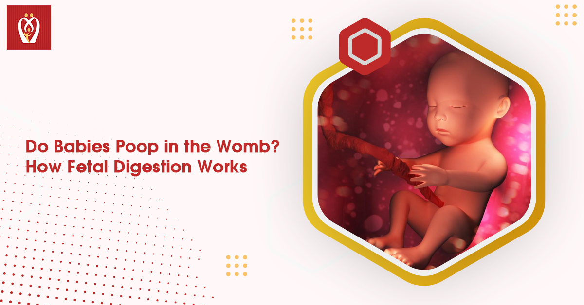 fetal-digestion-do-babies-poop-in-the-womb-how-fetal-digestion-works